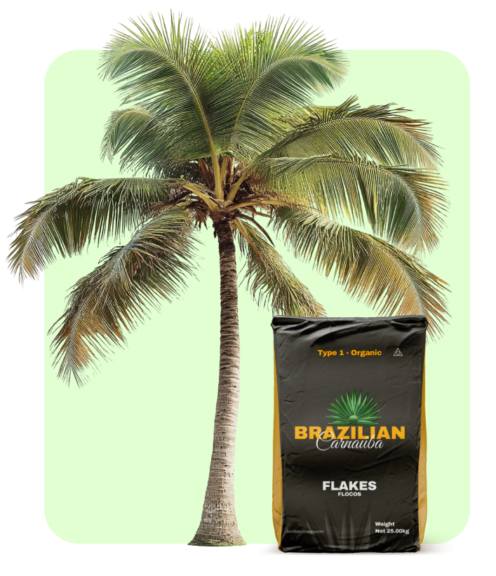 Cera de carnaúba Brazilian Carnaúba